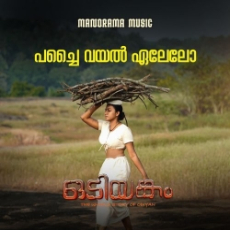 Pachai Vayal Eelelo Pachai Vayal Eelelo